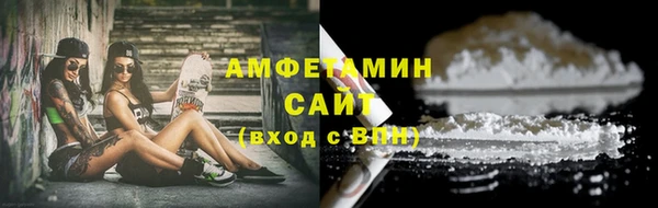 мет Алексин