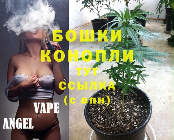 дмт Алзамай