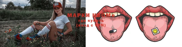 мет Алексин